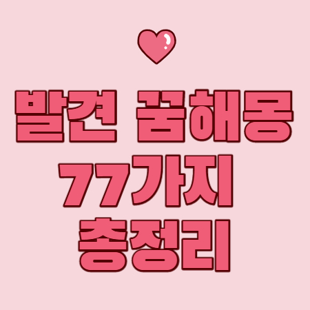 발견 꿈해몽 77가지 완벽정리