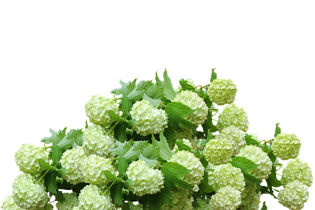 제주 축제 일정