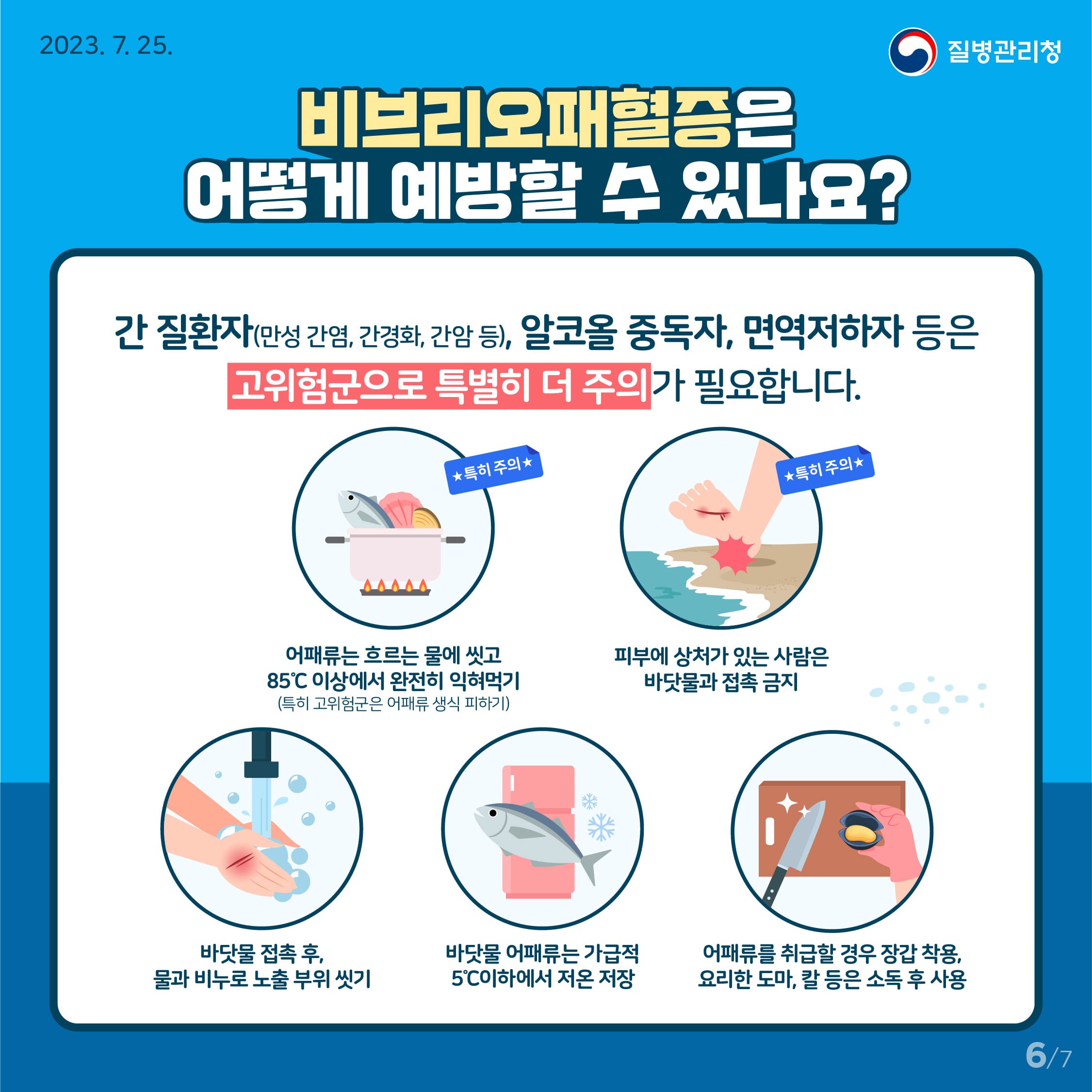 비브리오 패혈증