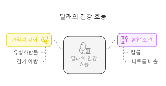 봄철 제철음식 5가지! 지금 먹으면 건강이 달라지는 이유