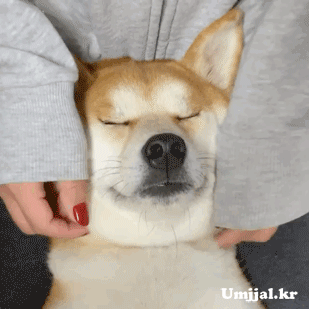 9월21일 목 경제뉴스 부동산뉴스 헤드라인뉴스 간추린뉴스