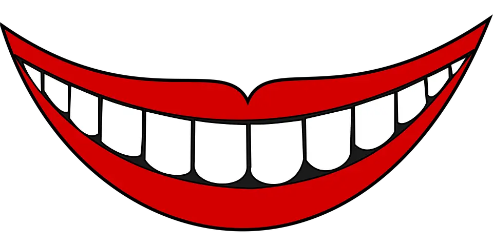 치아보험 완전정리｜임플란트&middot;스케일링&middot;충치 보장 핵심 가이드