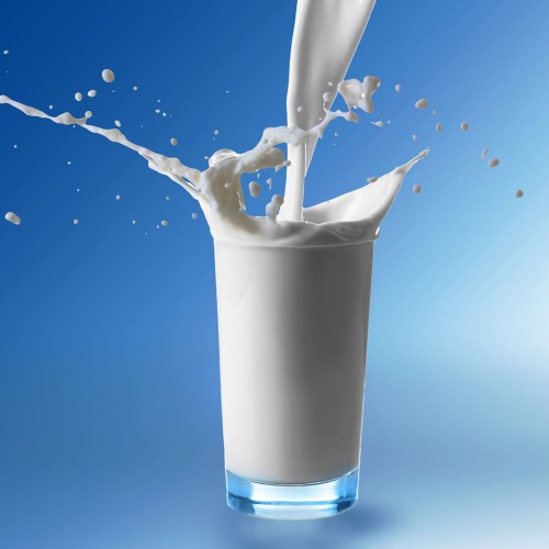 우유 유통기한 소비기한