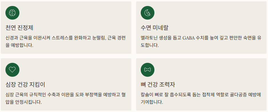 마그네슘의 역활 이미지