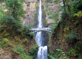 개별공시지가 조회 토지 부동산 건물 개별공시지가 조회