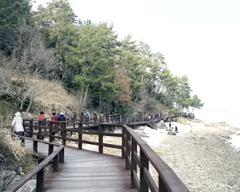 강진 반값 여행_19