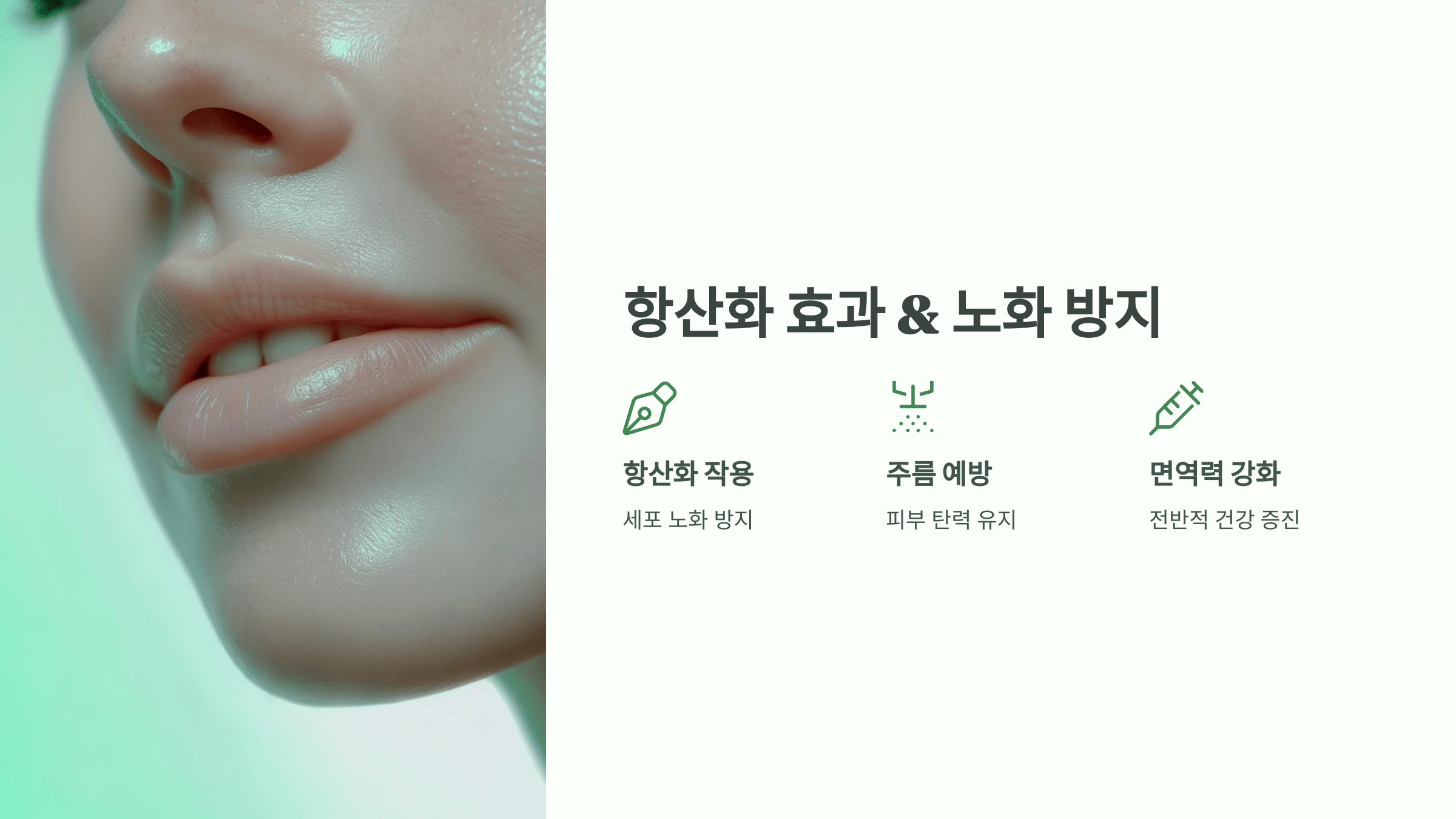 대마종자유 사진입니다.