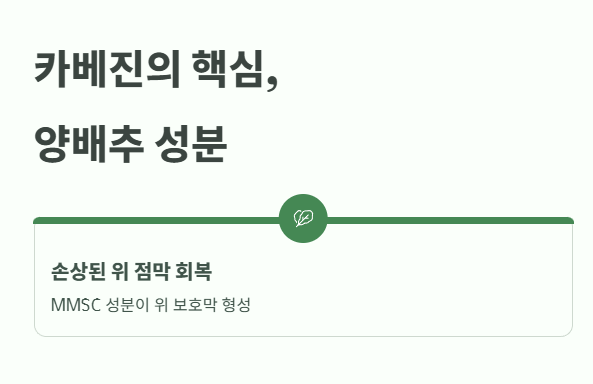 카베진 효능 : 손상된 위 점막 회복