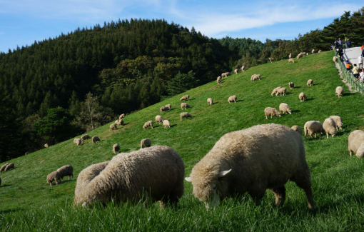 강원도 여행 힐링코스 평창 이민정 가오정 촬영지