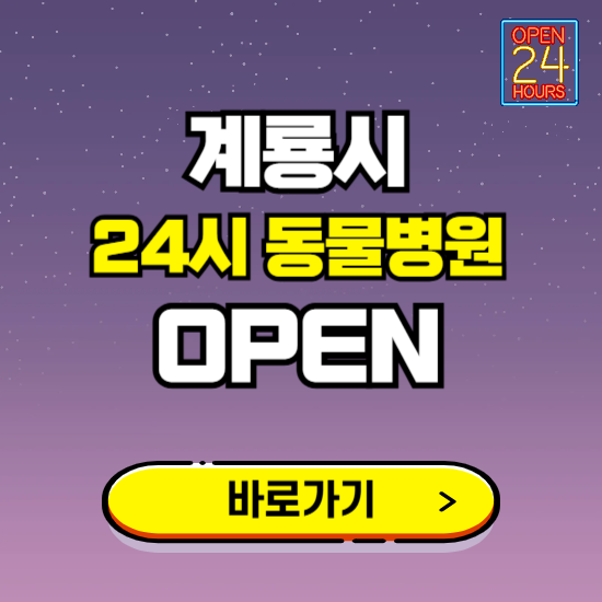 계룡시 24시 동물병원 진료하는 곳 ❘ 설날 휴일 야간 심야 문여는곳 찾기 ❘ 응급진료
