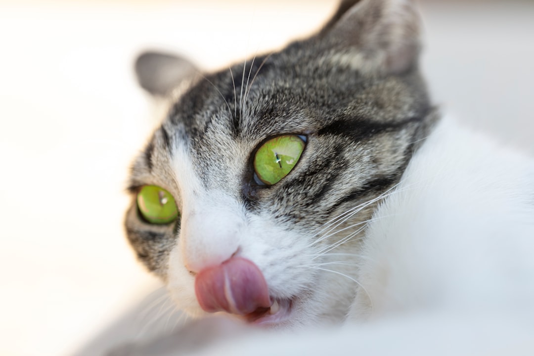 Hunger