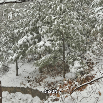 12월에 가볼만한 국내 여행지