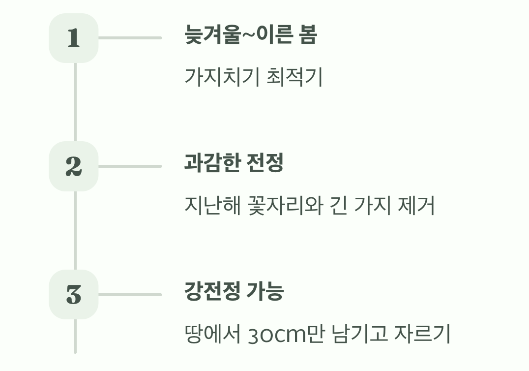 꽃을 더 풍성하게, '용기 있는 가지치기'