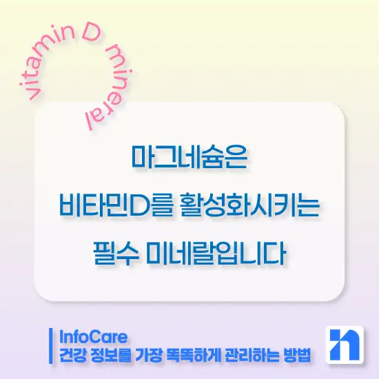 비타민D 칼슘 마그네슘 아연 함께 복용