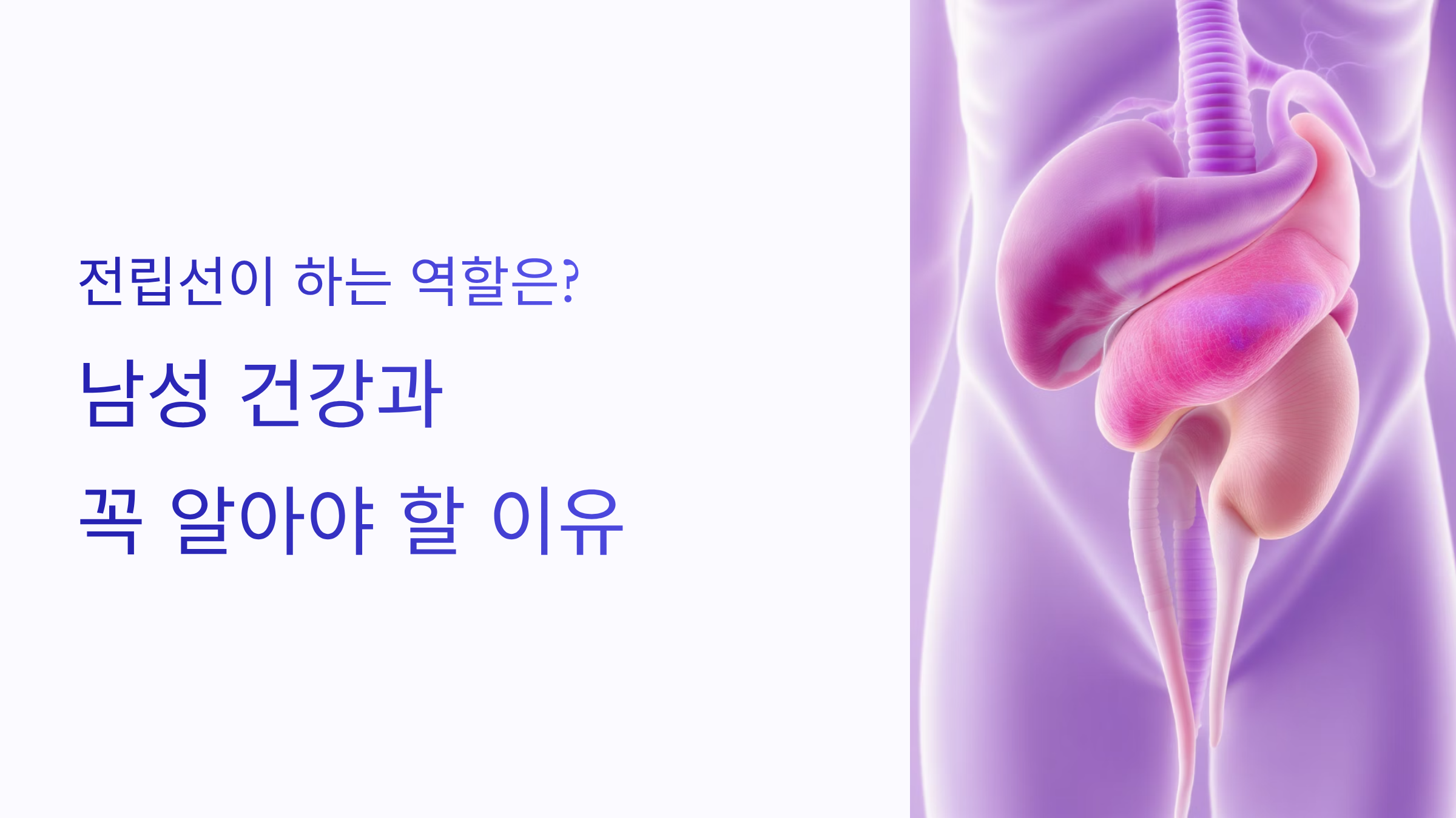 남성 건강과 꼭 알아야 할 이유