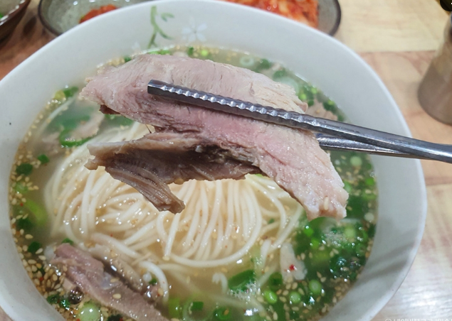 제주 꽃축제 웨이뷰 코스모스 축제 기간 장소 주차