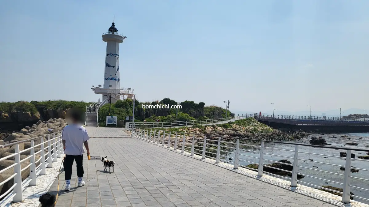 슬도 등대로 향하는 다리에서 바라본 바다 전경