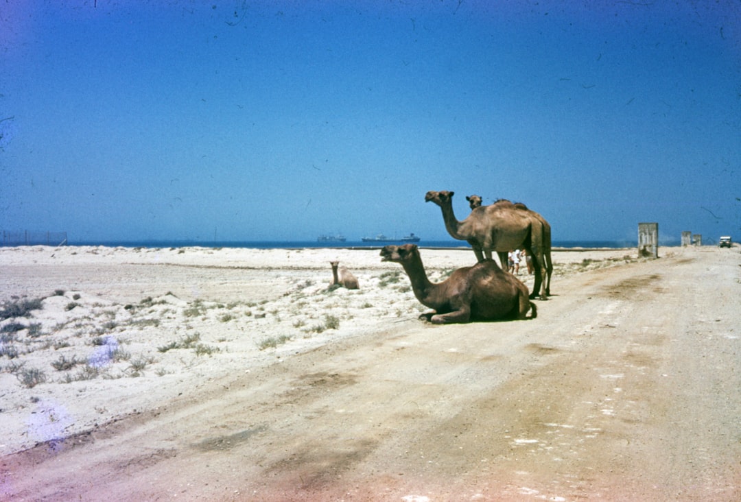 Kuwait
