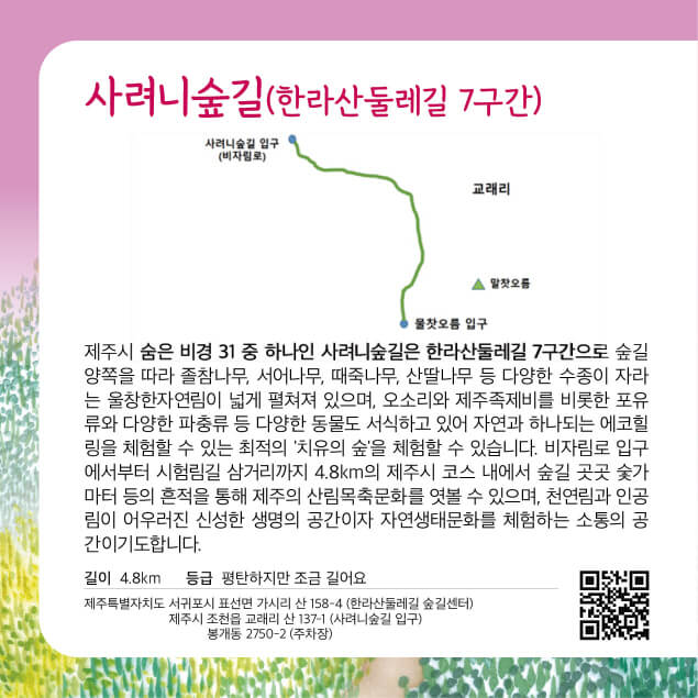 [명품숲길 50선] 제주시 사려니숲길(한라산둘레길 7구간), 신성한 생명의 숲에서 에코힐링을 만나다