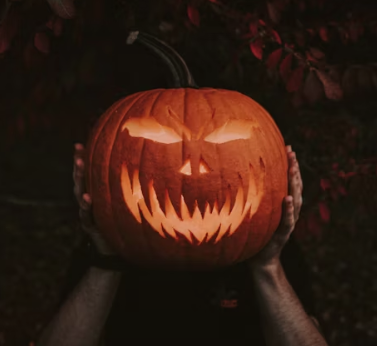 호박 효능과 부작용 고르는법 칼로리