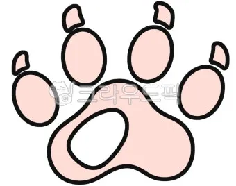 발바닥 가려움증 증상 4가지 이유 원인 치료법_17