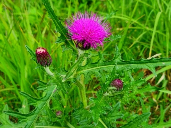 실제복용 후 개인 의견