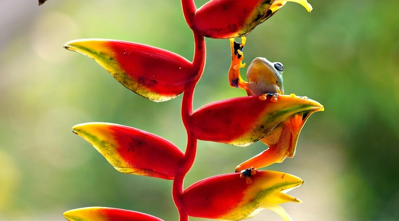 공항에서 비행기 놓치는 꿈해몽 - 불안, 여행