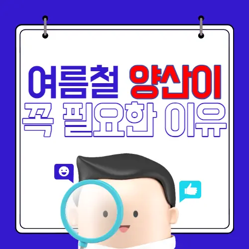 여름에 양산이 꼭 필요한 이유