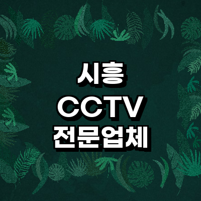 시흥시 cctv