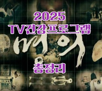 2025 TV건강 프로그램들