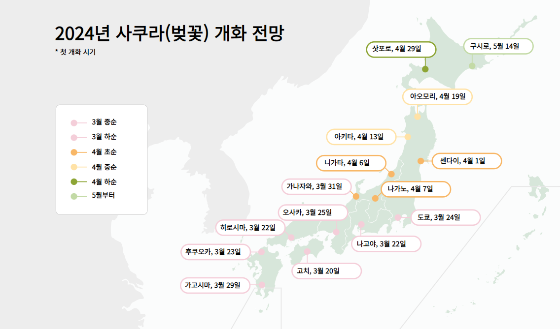 2024년 일본 벚꽃 개화시기
