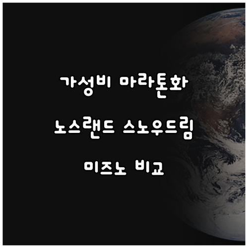 가성비 마라톤화 추천 및 비교 노스랜..