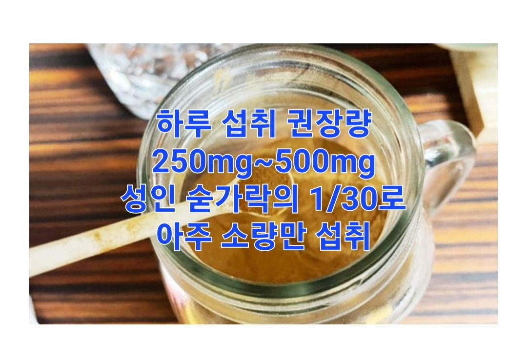 시서스 다이어트