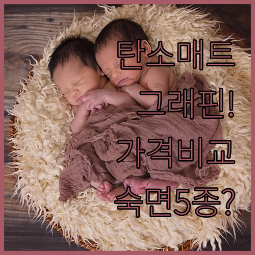 탄소매트 그래핀매트 가격대별 가성비 ..