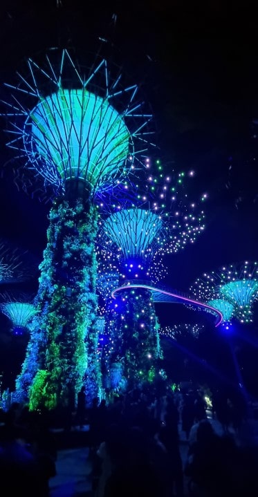 가든스 바이 더 베이 슈퍼 트리 쇼