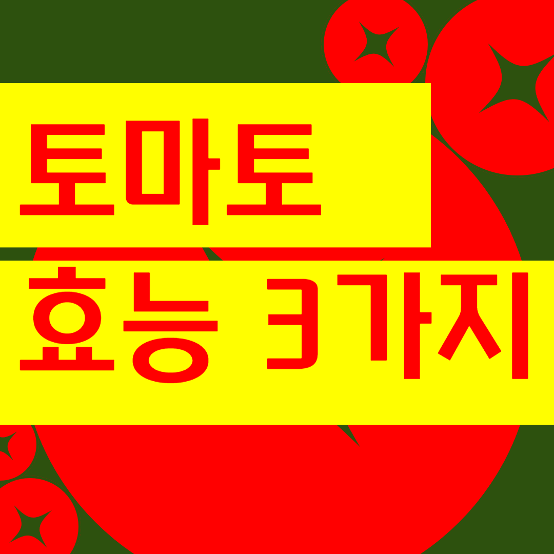 토마토 효능 3가지 (토마토, 토마토 다이어트, 토마토 종류, 변비 예방)