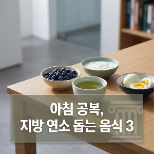 아침 공복에 먹으면 지방 연소를 돕는 음식 3가지