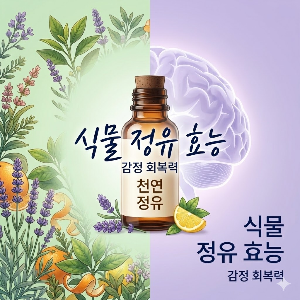 식물 정유가 감정 반응의 회복 탄력성을 높이는 이유