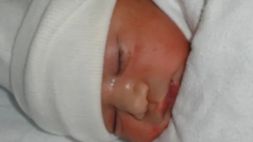 코로나19 예방접종 예약