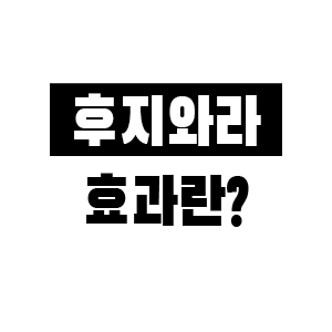 후지와라 효과. 마이삭과 하이선