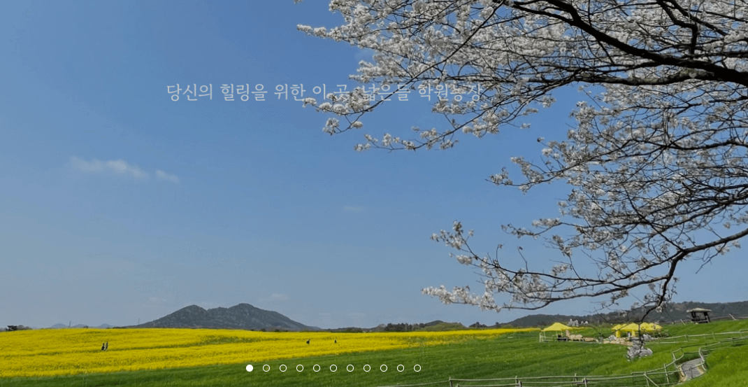 고창 학원 농장 입장료 총정리 관련사진