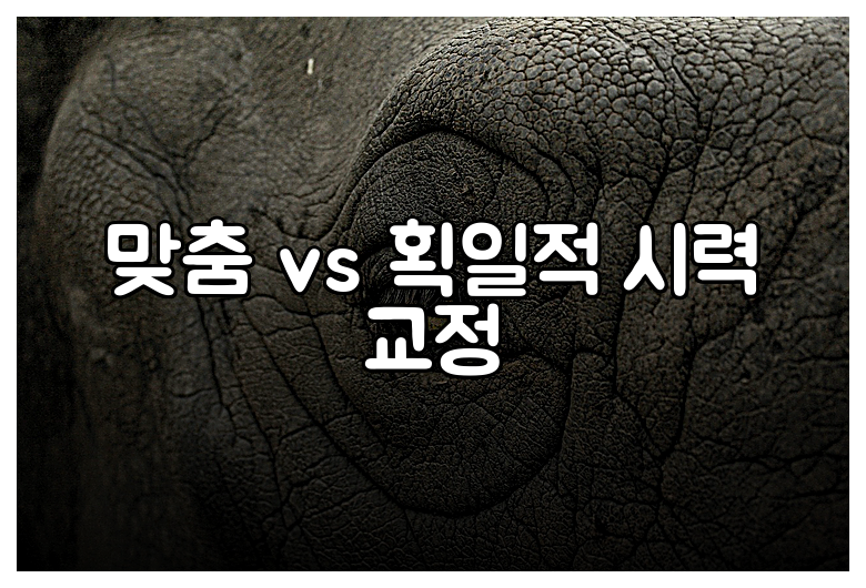 맞춤 vs 획일적 시력 교정