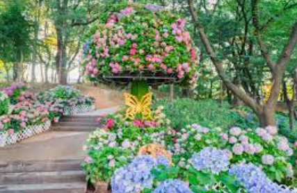 수도권 수국명소 추천 7곳, 도심 속에서 만나는 수국의 향연