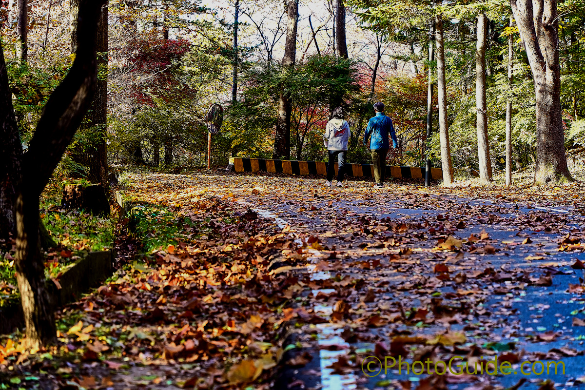 포토가이드 photoguide.com 가을 둘레길