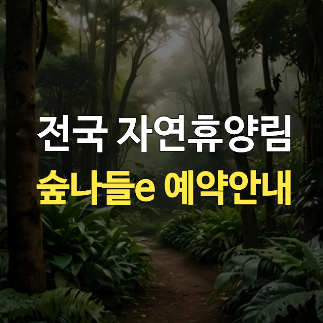 국립자연휴양림 숲나들e 예약