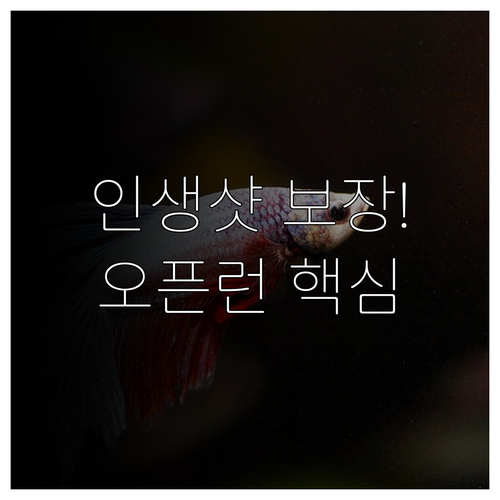 인생샷 보장 츄라우미 수족관 오픈런 ..