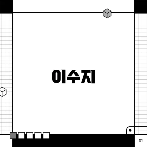이수지