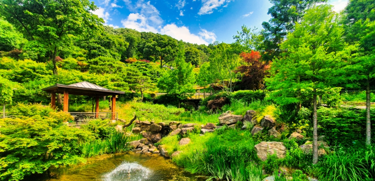 화담숲 관련 이미지