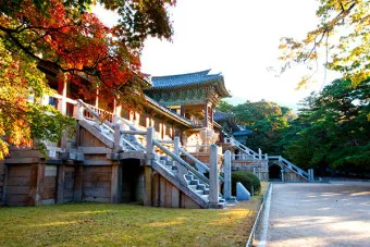 경주 가볼만한곳 베스트 10 여행지_3