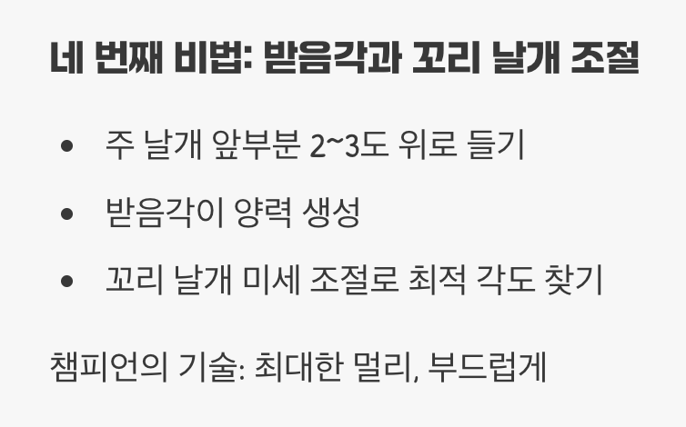 4. 날개의 각도, 비행의 운명을 결정한다